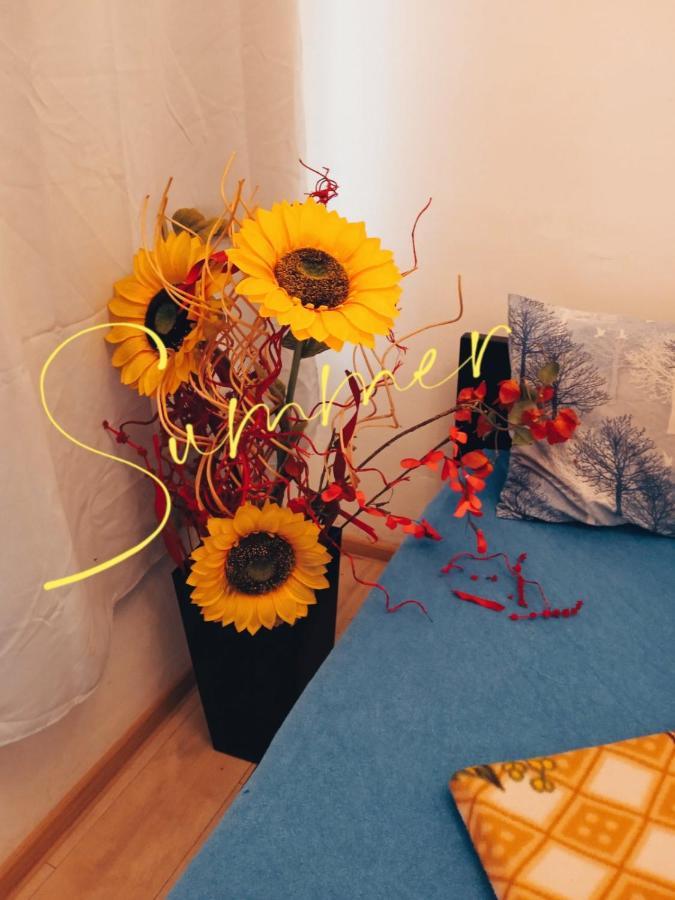 Studio Eva Sajmiste Kültér fotó